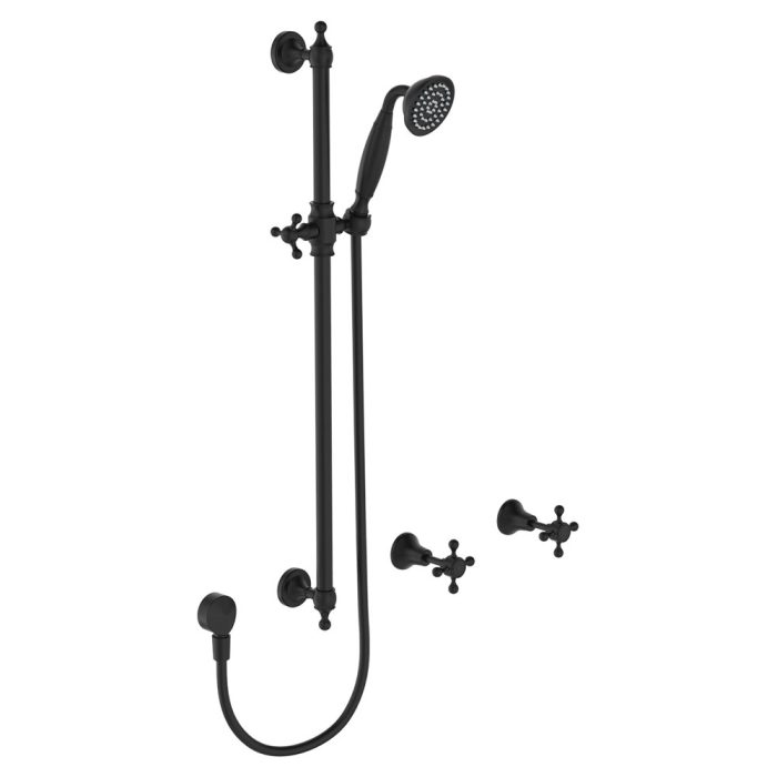 fienza Lillian Rail Shower Set Matte Black