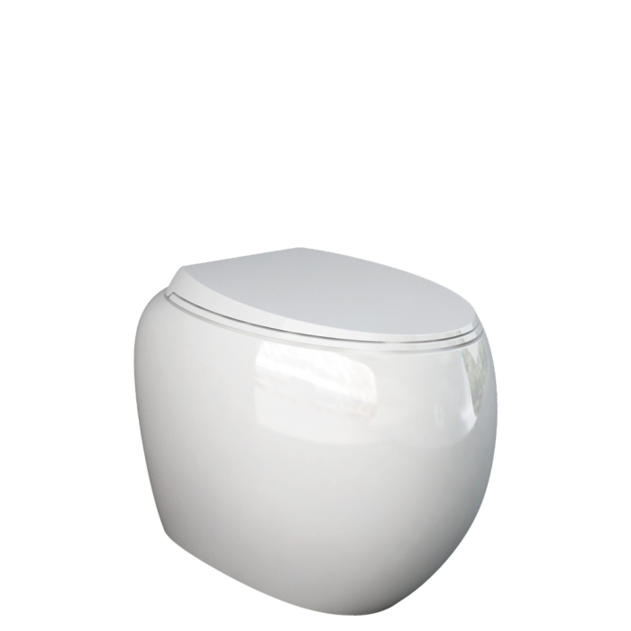 fienza RAK Cloud Wall-Faced Toilet Suite Alpine Gloss White