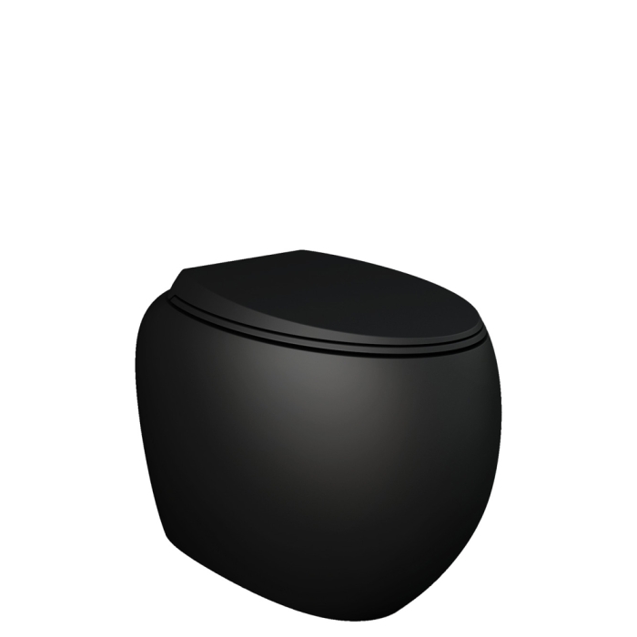 fienza RAK Cloud Wall-Faced Toilet Suite Matte Black