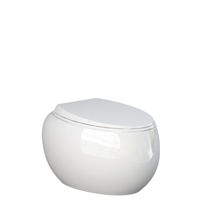 fienza RAK Cloud Wall-Hung Toilet Suite Alpine Gloss White