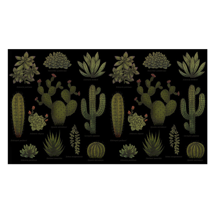 Fifth Sun Lost Gods Botanical Cactus Stainless Steel Water Bottle