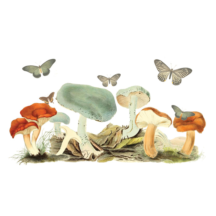 Fifth Sun Lost Gods Retro Mushrooms Stainless Steel Water Bottle