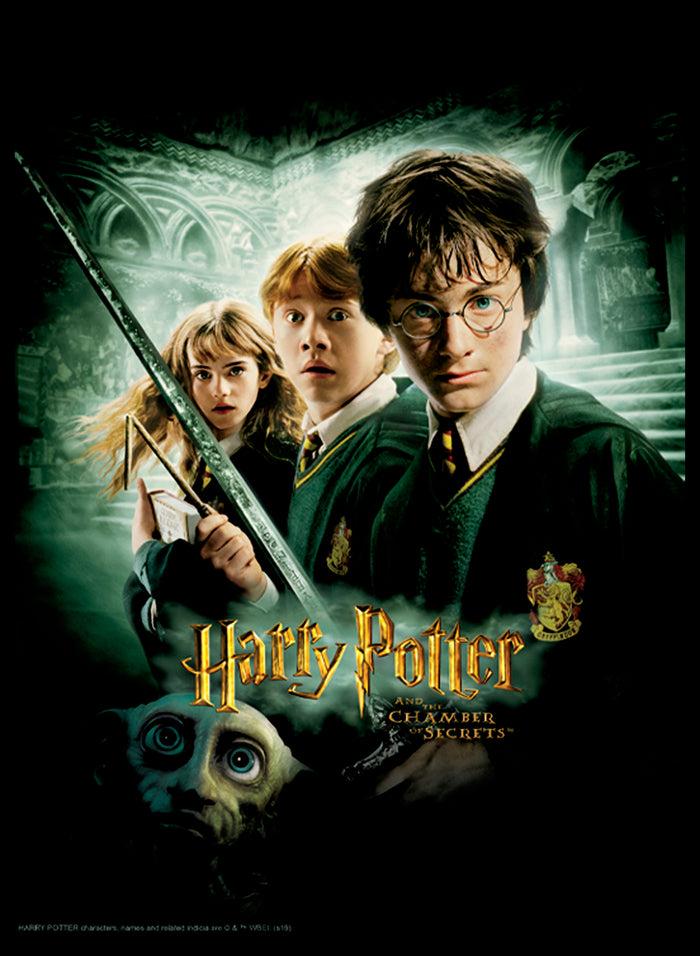 Fifth Sun Men's Harry Potter Chamber Of Secrets Poster T-Shirt