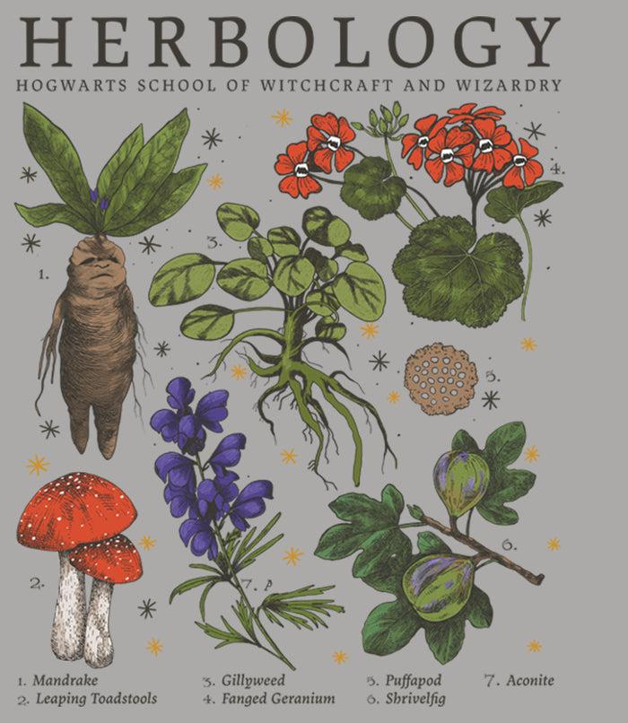 Fifth Sun Men's Harry Potter Hogwarts Herbology T-Shirt