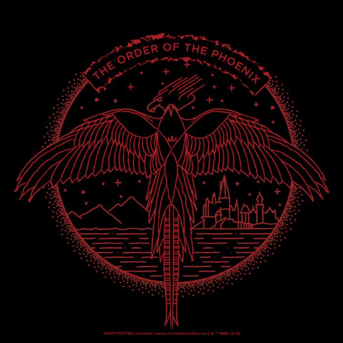Fifth Sun Men's Harry Potter Order Of Phoenix Flight T-Shirt