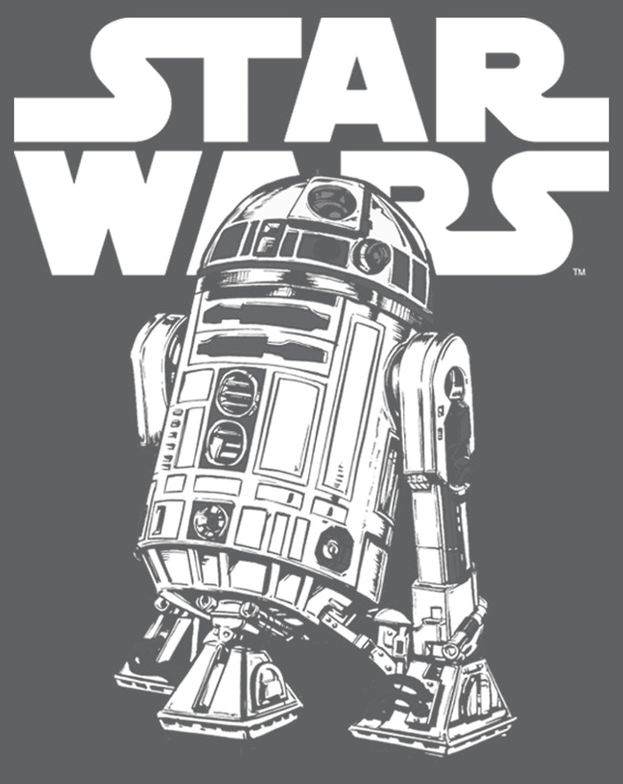 Fifth Sun Men's Star Wars R2-D2 Classic Pose T-Shirt