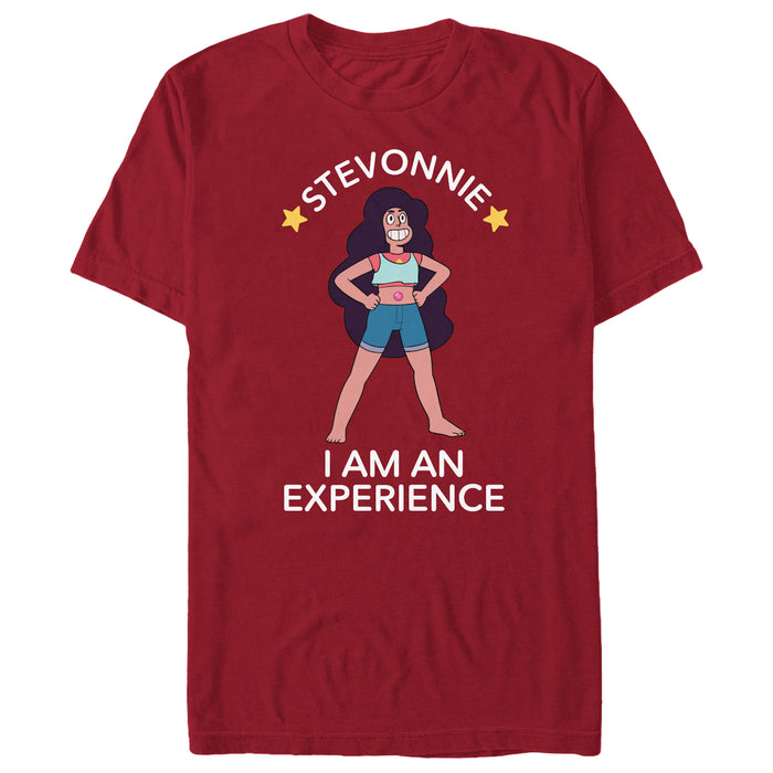 fifth sun Men's Steven Universe Stevonnie An Experience T-Shirt