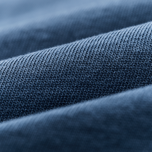 Filson Frontier Graphic T-shirt Light Blue / Mountain Lake