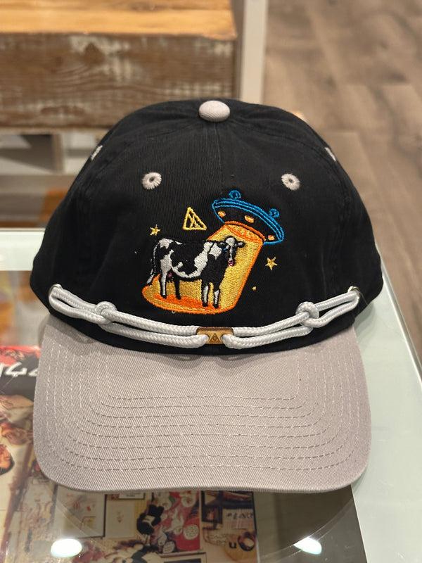 findlay 2/05 DandaDaddies Flash Drop #5