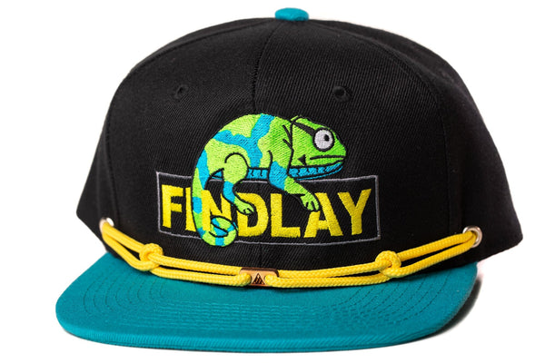 Findlay Air Chameleon