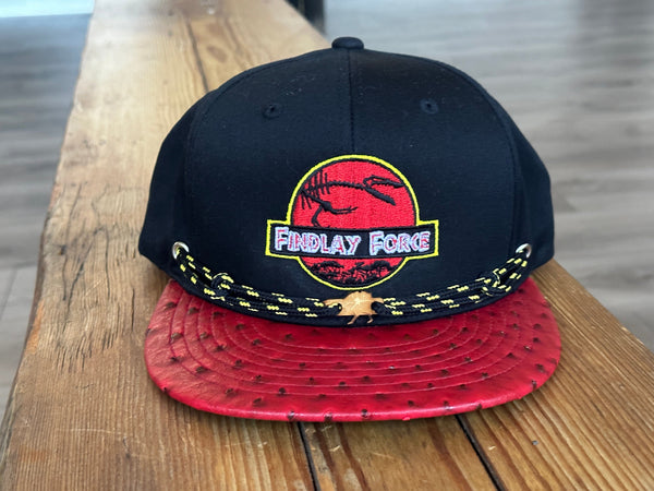 findlay Flash Top Shelf Dino Guy