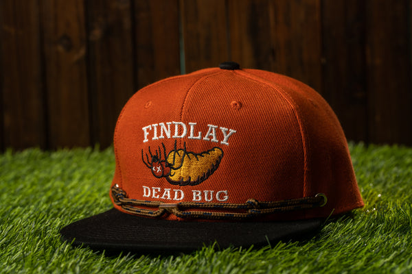 Findlay Late Dead Bugs (1 Of 36)