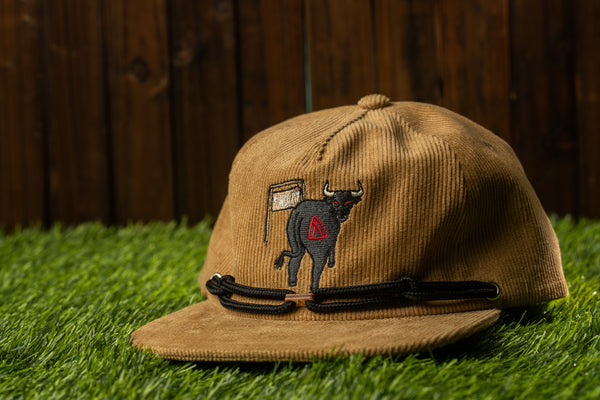 Findlay Longhorn Louie (1 Of 24)