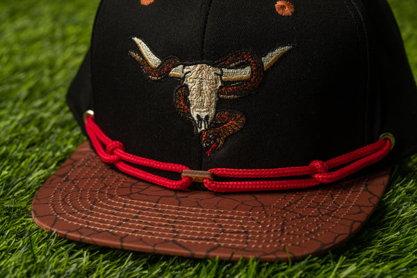 findlay Loooooonghorns (1 of 24)