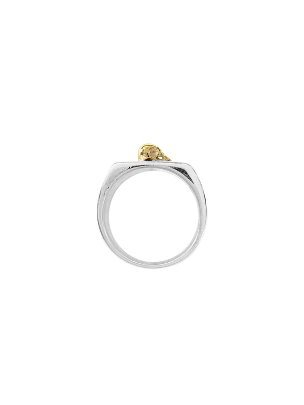 Fiorina Men's Signet Skull Ring