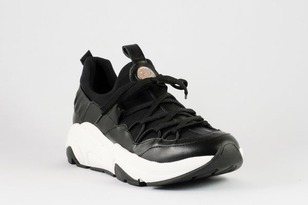 Firenze Shoes 7:AM Sneaker