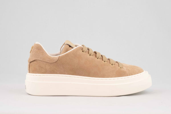 firenze shoes PACIOTTI Sneaker Taupe