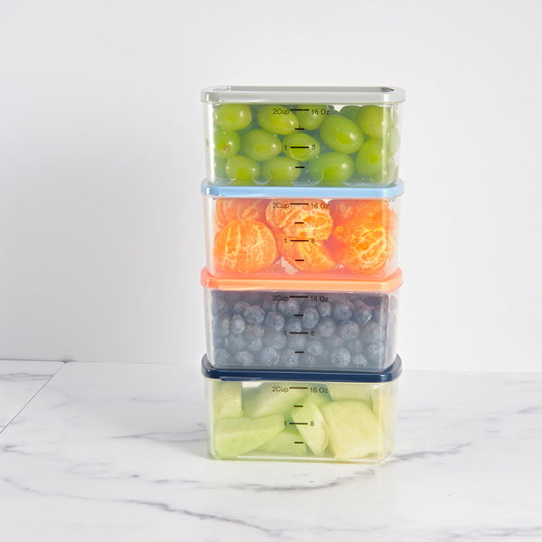 Fit & Fresh Adult 2 Cup Containers Multicolor