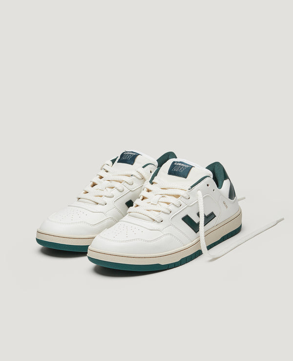 Flamingos' Life SALINE FOREST