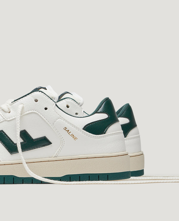 Flamingos' Life SALINE FOREST