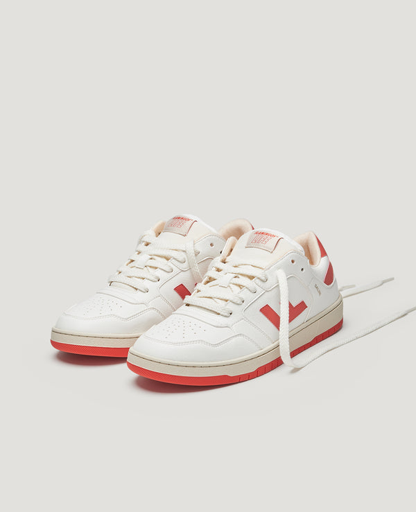 Flamingos' Life SALINE HIBISCUS