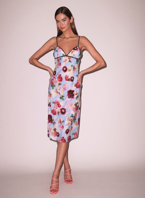fleur du mal Dream of Fleur Dress dream of fleur print