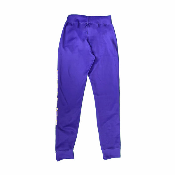 Flow Society Youth & Adult Buzzer Beater Jogger Purple