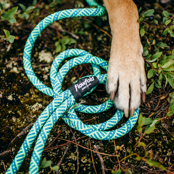 Flowfold Coastal Dog Kit: 6ft Recycled Climbing Rope Dog Leash + Collar