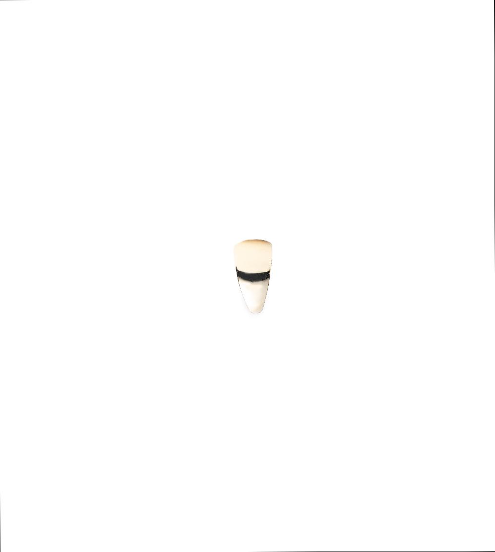 foundrae Medium Bail Link