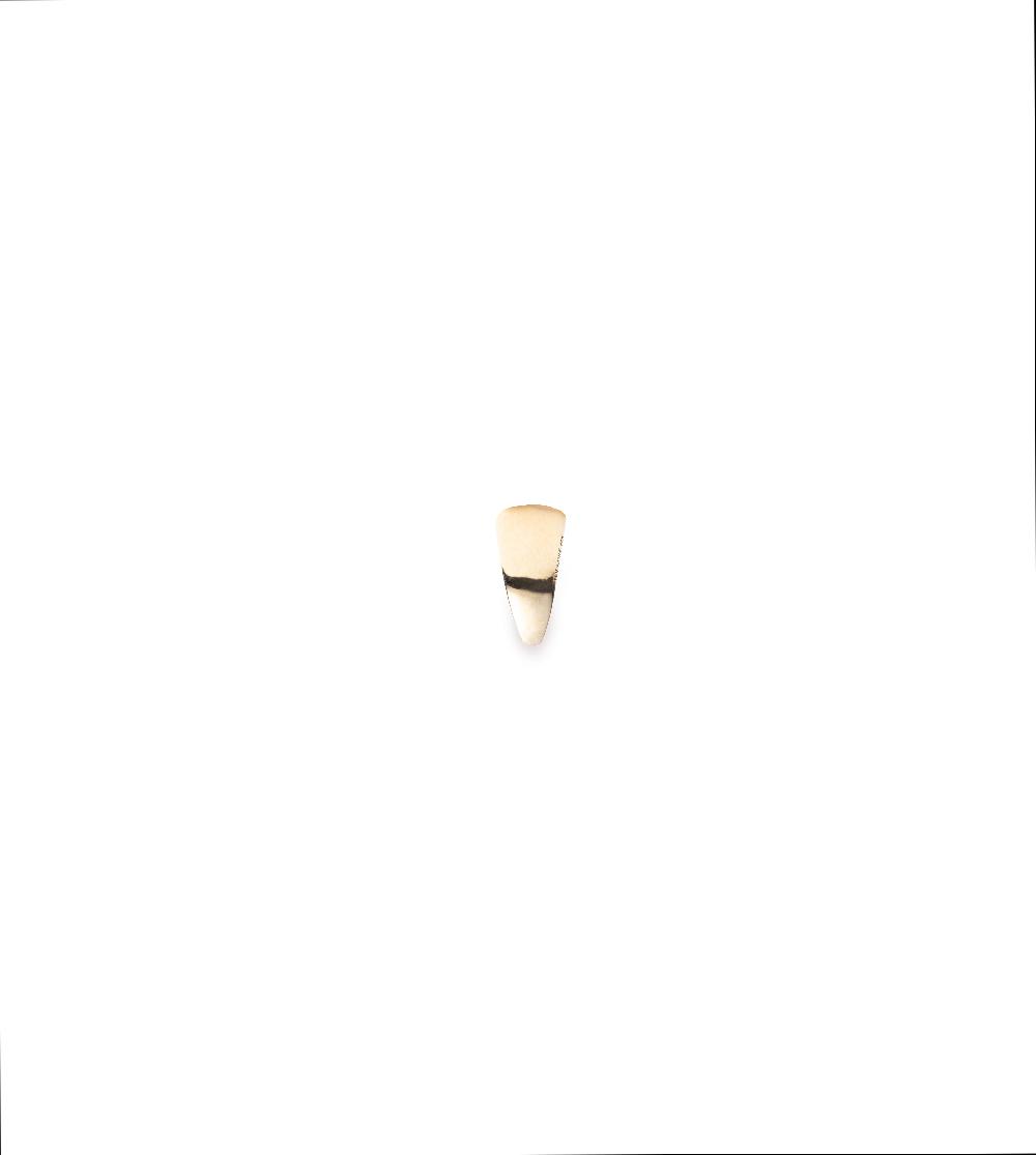 foundrae Small Bail Link