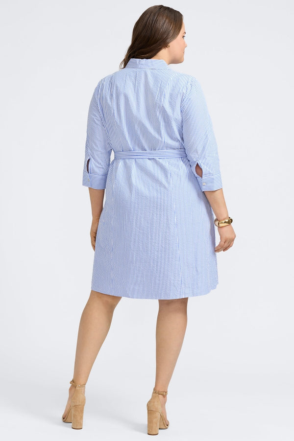 Foxcroft Fiona Plus Seersucker 3/4 Sleeve Dress