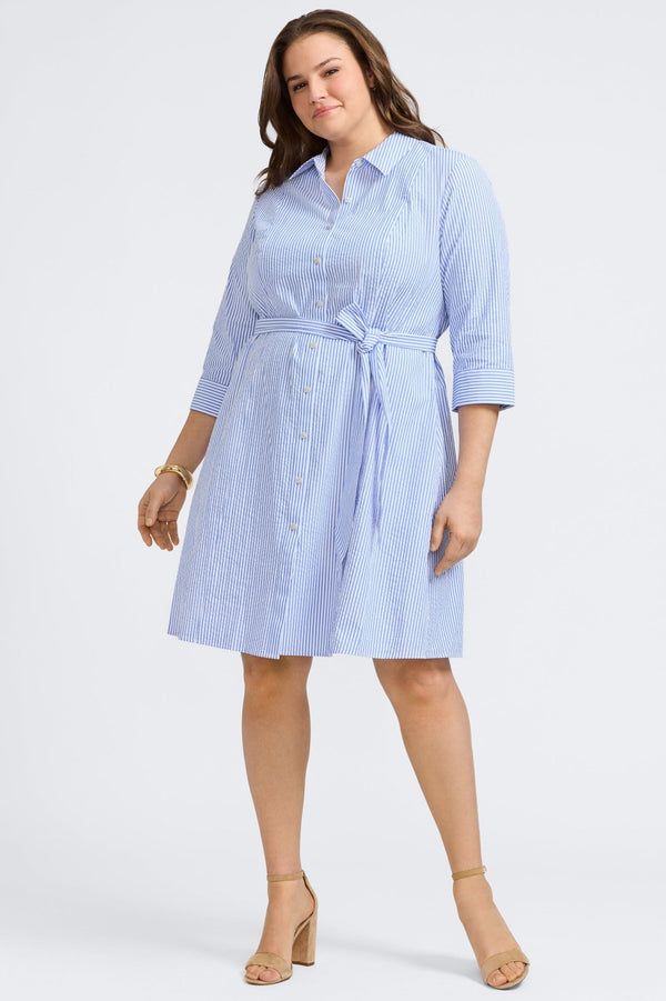 foxcroft Fiona Plus Seersucker 3/4 Sleeve Dress