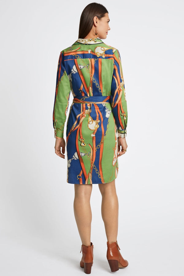 Foxcroft Rocca Status Chain Long Sleeve Dress