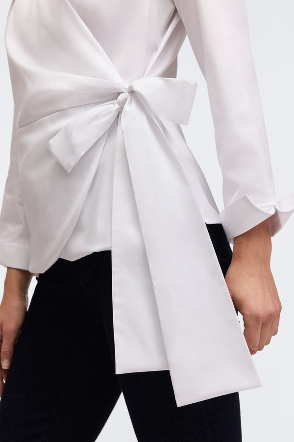 Foxcroft Salina No Iron Stretch Matte Sateen Long Sleeve Shirt