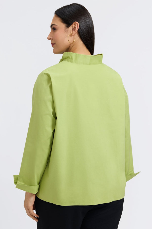 Foxcroft Tammy Plus No Iron Stretch Long Sleeve Popover Shirt