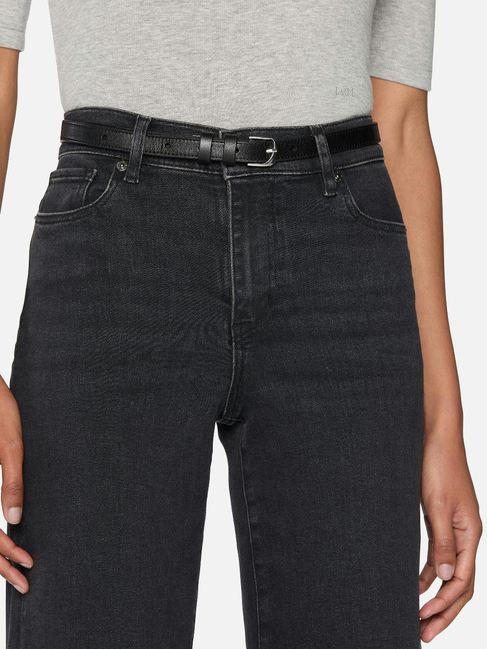 Frame Le Slim Palazzo In Destroyer