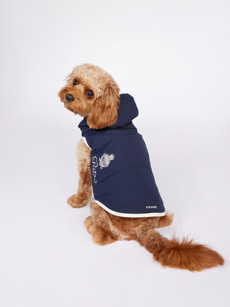 Frame Ritz Dog Puffer In Navy