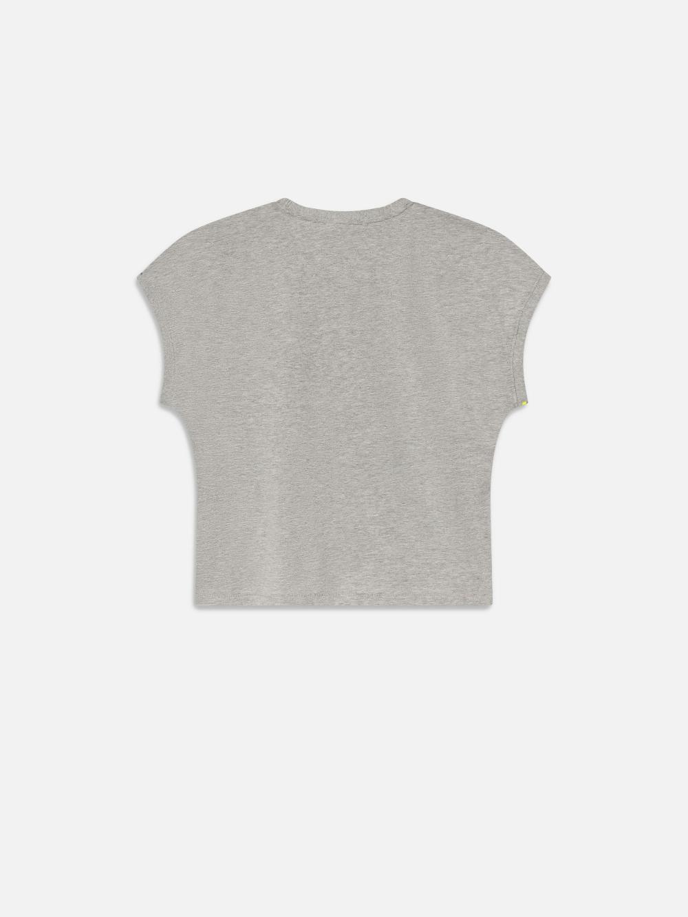 Frame The Muscle Tee In Heather Grey