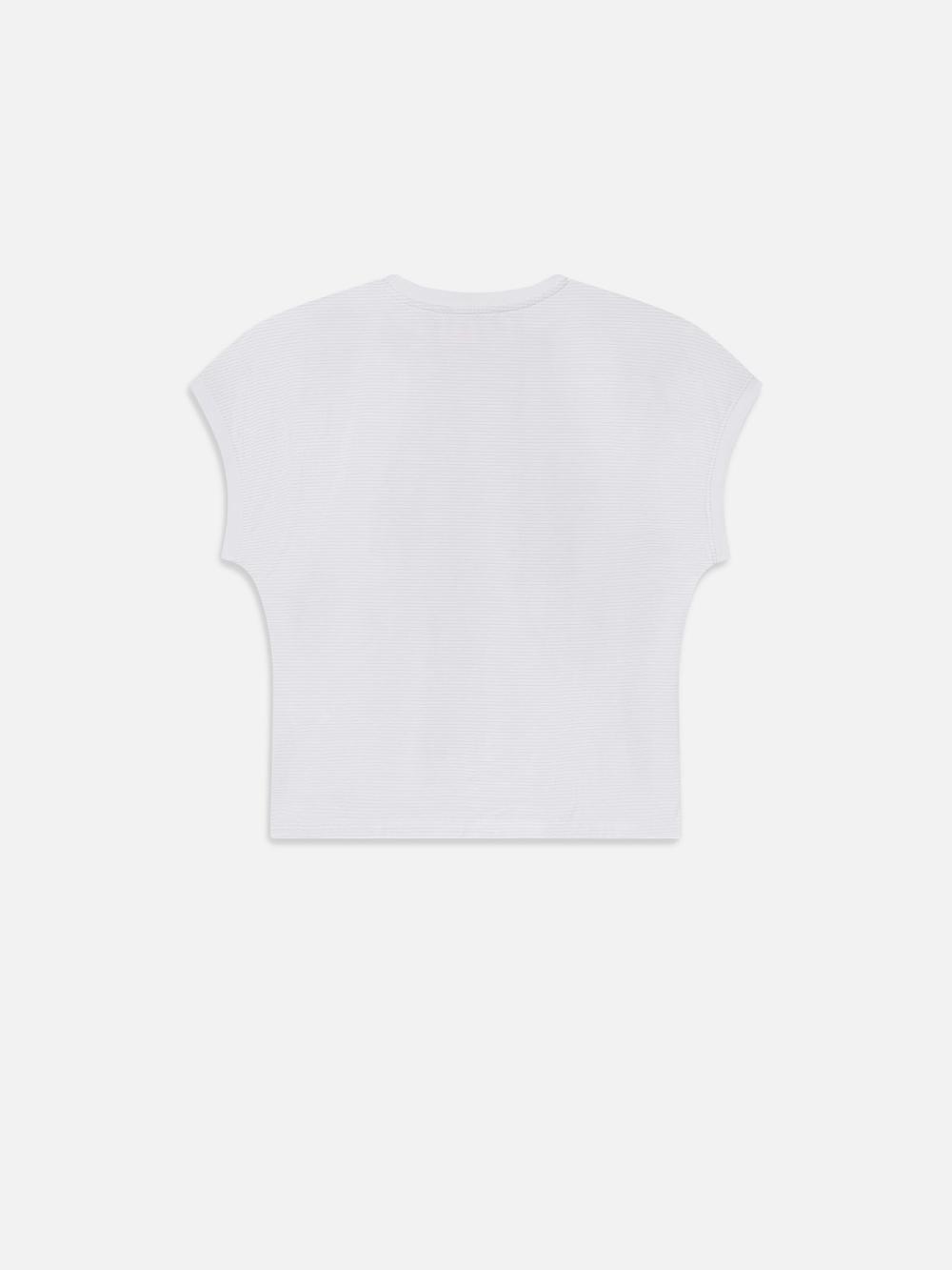 Frame The Muscle Tee In Powder Blue Multi