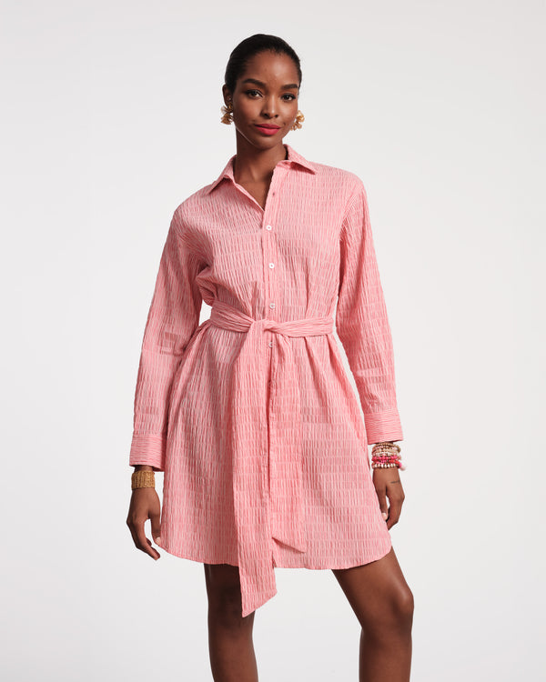 Frances Valentine Perfect Shirtdress