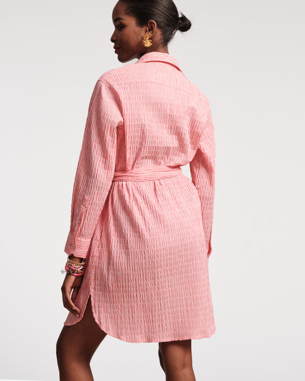 Frances Valentine Perfect Shirtdress