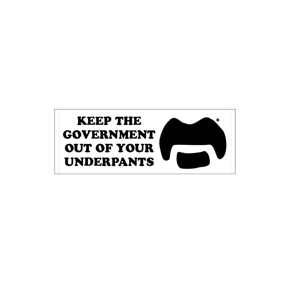 frank zappa Keep The Government Bumper Sticker
