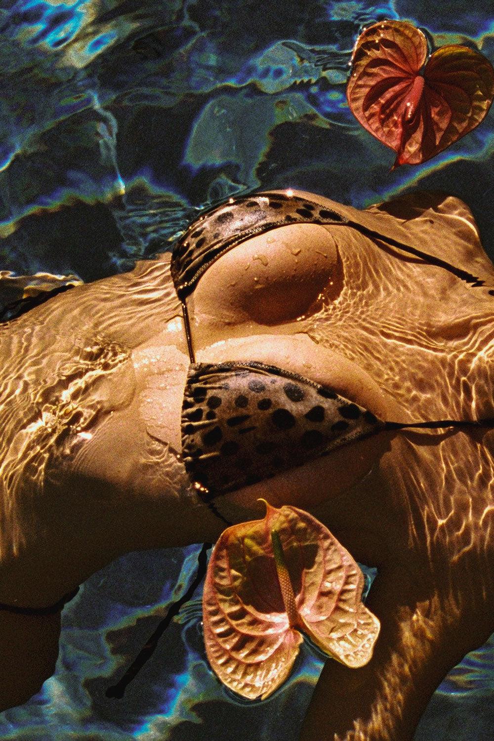 frankies bikinis x Khy Nick Triangle Bikini Top Lacey Leopard