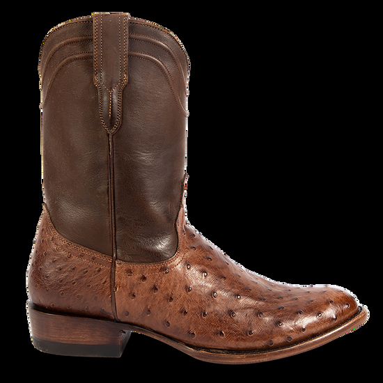 Freebird Alamo - Brown Ostrich