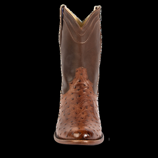 Freebird Alamo - Brown Ostrich