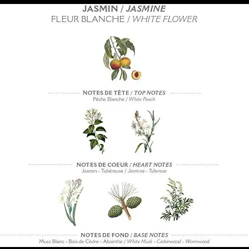 French Girl South Of France Precious Jasmine Soap