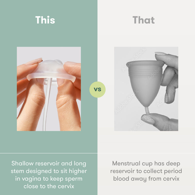 Frida Conception Aid Cup