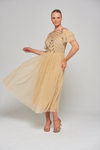 frock & frill Barbara Champagne Cold Shoulder Embellished Midi Dress