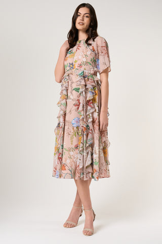 Frock & Frill Aisley Floral Print Midi Dress