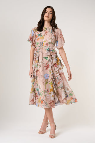 frock & frill Aisley Floral Print Midi Dress